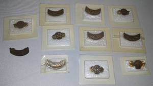 lot 215 image: Hog Pins - (10) New