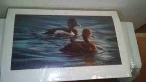 lot 220 image: Karen Latham, Ringbills, 2005 Ducks Unlimited Sponsored Print