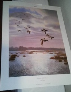 lot 222 image: Scot Storm, Rippin The Dawn, 2001 Ducks Unlimited Sponsored Print,