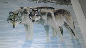 lot 223 image: Thomas Moen, Winter Silence  Wolves, Ducks Unlimited Sponsored Print 1998