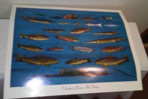 lot 252 image: John Jensen Limited Edition Print, Quantity 2.
