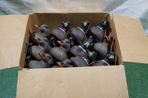 lot 154 image: Flambeau Classic Mallard Weighted Keel Duck Decoys