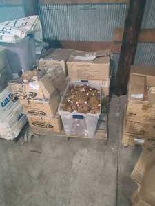 lot 98 image: Pallet of stuffed animals