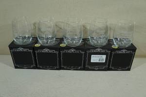 5 Novelty Etched Wine Glasses -All DemocratLiberalLeft Wing Theme