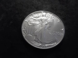 1988 American Eagle Silver Dollar 1 Oz. 99.9 Pure MS From Unc Roll