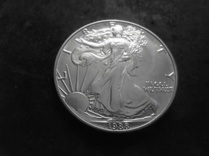 1988 American Eagle Silver Dollar 1 Oz. 99.9 Pure MS From Unc Roll