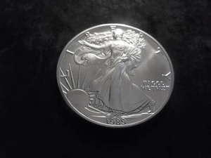 1989 American Eagle Silver Dollar 1 Oz. 99.9 Pure MS From Unc Roll