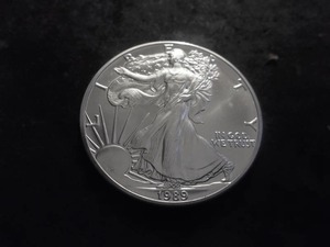 1989 American Eagle Silver Dollar 1 Oz. 99.9 Pure MS From Unc Roll