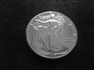 1989 American Eagle Silver Dollar 1 Oz. 99.9 Pure MS From Unc Roll