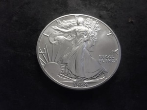 1989 American Eagle Silver Dollar 1 Oz. 99.9 Pure MS From Unc Roll