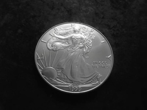 1999 American Eagle Silver Dollar 1 Oz. 99.9 Pure MS From Unc Roll