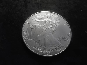 2000 American Eagle Silver Dollar 1 Oz. 99.9 Pure MS From Unc Roll