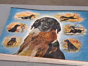 lot 489 image: Field Champion Rips Bingo - 1952 thru 1956 National Qualifier Print , Unframed