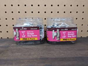 lot 129 image: Lot of 2 (6-Pack) Apollo PEX 12 in. Chrome-Plated Brass PEX-B Barb x 38 in. Compression Quarter-Turn Straight Stop Valve Pro Packs