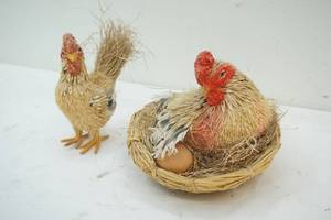 chickens