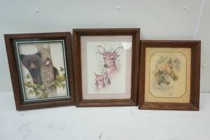 wildlife pictures