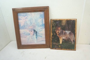 wolf picture