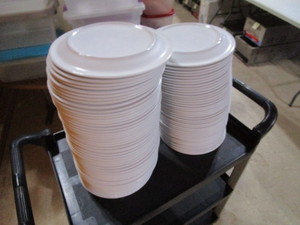 (96) 10 Plates