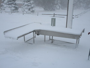 Stainless Steel Game Cleaning Table