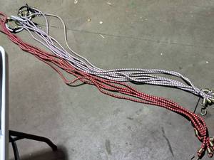 lot 366 image: Lot of (13) Bungee Cords