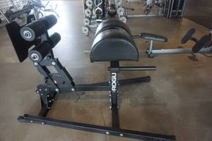 lot 21 image: Rogue Monster Swing Arm Exercise Machine