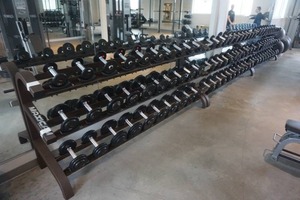 lot 85 image: Muscle Dynamics Maximan Brand Heavy Duty Dumbbell Rack