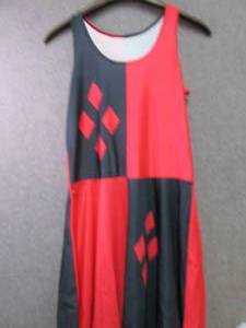 lot 132 image: 3XL Ladies Swim Dress...