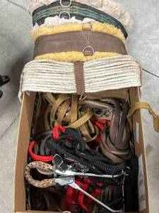 lot 46 image: Large Lot of Horse  Equestrian Gear