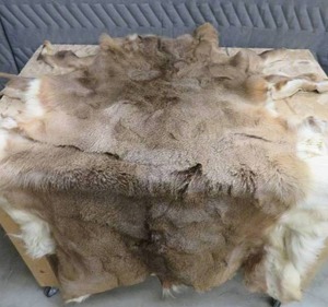 TANNED DEER HIDE