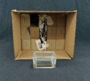 lot 36 image: Lot of 12 Oblong Stain Dishes