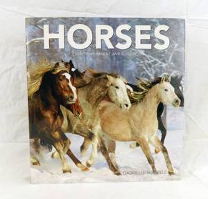 lot 63 image: 2006 Horses Their Temperament and Elegance by Gabrielle Boiselle