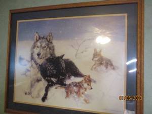 Framed Nature scene print...