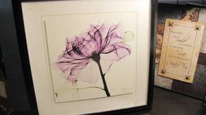 Framed nature artwork and additiona...