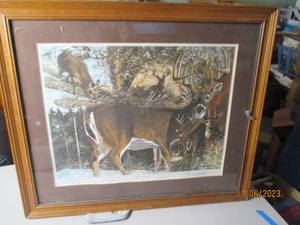 Framed signed and numbered deer pri...