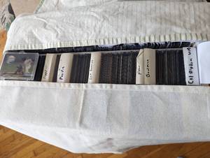 Cal Ripken Jr Sleeve sorted by bran...