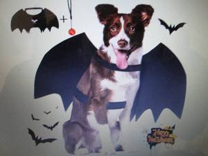 4 Bat Wings Dog Costumes...