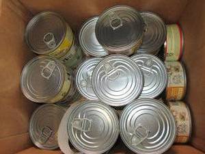 36 cans of special kitty canned cat...