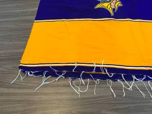 lot 2 image: Vikings NFL Poncho with Logo