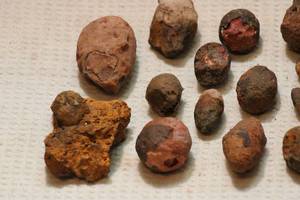 lot 117 image: 1lb 10oz Round Stone Concretion Lot