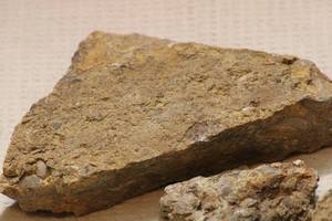 lot 118 image: Marine Creature Fossils in Limestone 6lb 8oz Lot