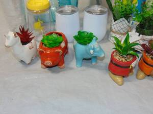 28 Pack Lot mixed interior Decorating