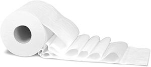 lot 163 image: NEW Von Drehle Tp250 2-Ply Standard Toilet Paper Case of 24 Rolls - 750 SheetsRoll