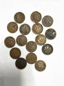 lot 60 image: 16 Different Year Indian Head Pennies 1894 to 1909