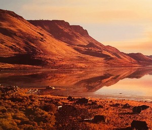 lot 95 image: Lake Albert Framed Print by Deborah Dewit