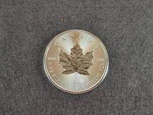 2022 1oz .9999 Fine Silver Canadian Maple Leaf Coin