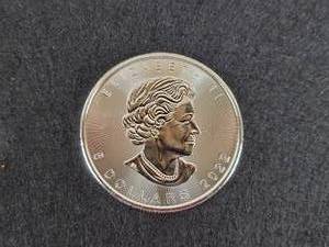 2022 1oz .9999 Fine Silver Canadian Maple Leaf Coin