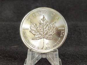 2022 1oz .9999 Fine Silver Canadian Maple Leaf Coin