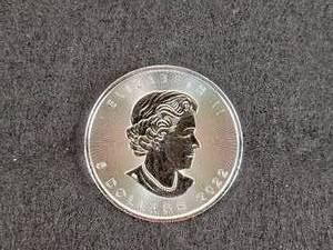 2022 1oz .9999 Fine Silver Canadian Maple Leaf Coin