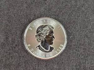 2022 1oz .9999 Fine Silver Canadian Maple Leaf Coin