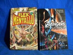lot 301 image: Books Avengers and Flex Mentallo
